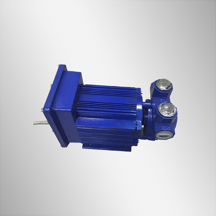 Petrol Transfer pump